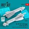 RESKIT RS48-0601 Kh-29T (AS-14B Kedge) missiles with AKU-58 (2 pcs) (Su-17, Su-25, Su-24, Su-30, Mig-27) (3D Printed) (1/48)